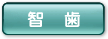 智歯